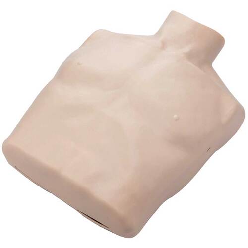 Brayden Manikin Body Skin