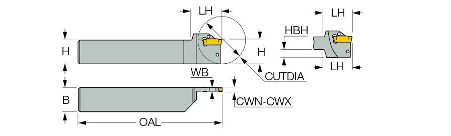 DGTL 19-2