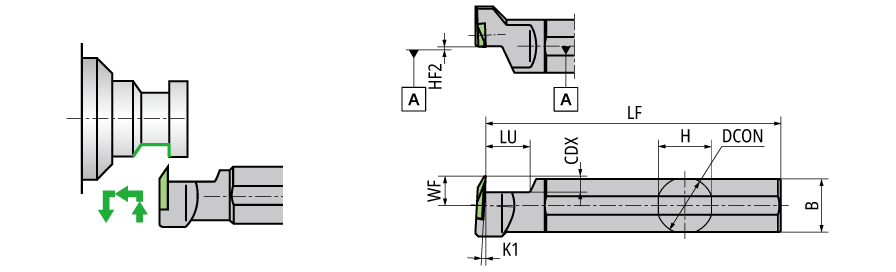 DS-TBPL19