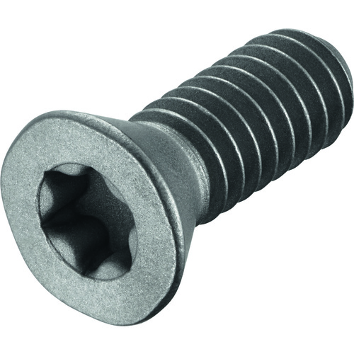 ‎?T9111030-3XT10 Modular Thread Mill Screw