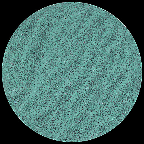rda_112406_Enlarge