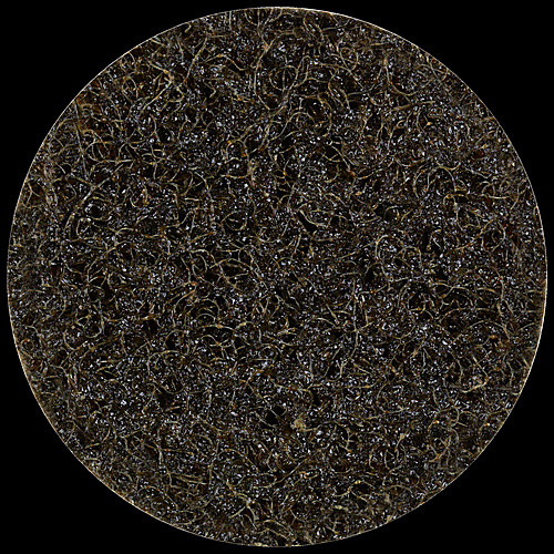 rda_112543_Enlarge