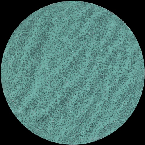 rda_34593706_1_Enlarge