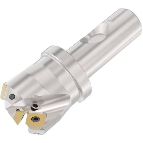 ‎R217.53-00.75.3S-09-2A - WELDON MOUNT FACE MILL