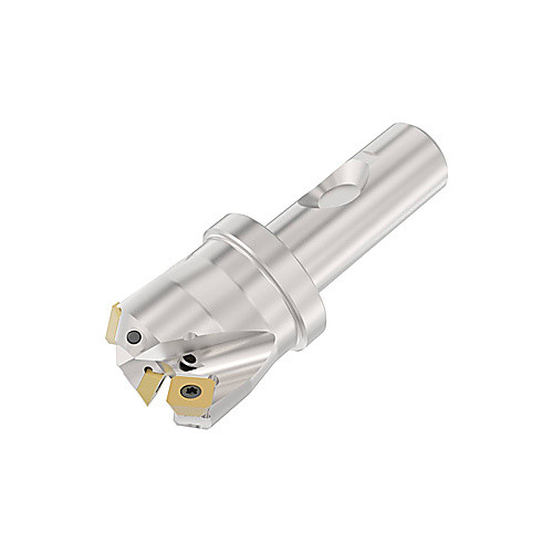 ‎R217.53-01.25.3S-09-4A - WELDON MOUNT FACE MILL