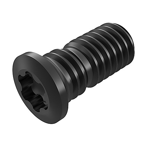 CS4009-T15P ANVIL SCREW