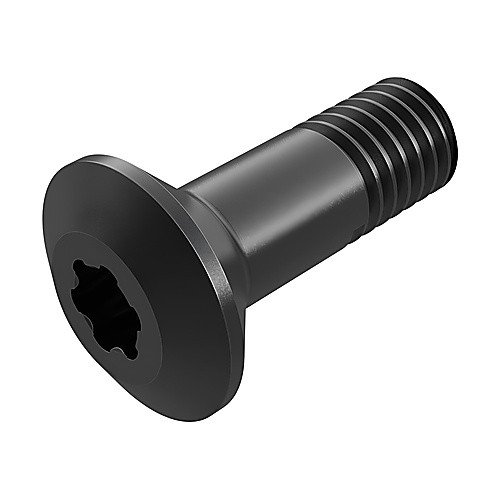 WS1620-T20P LOCKING SCREW