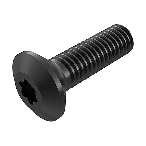 WS2325-T25P LOCKING SCREW