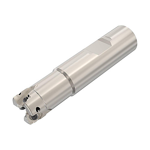 ‎R217.96-00.75-3-04-3A Square 6 Milling Cutter