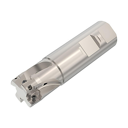 ‎R217.69-01.00-3-10-4A Helical Turbo Milling Cutter