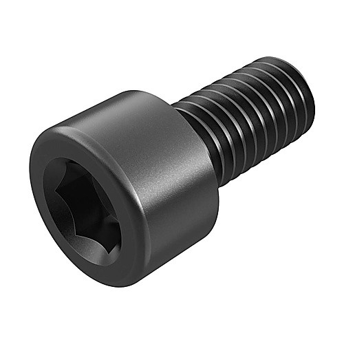 950D0612 SCREW