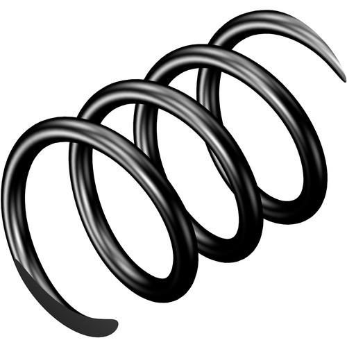 ‎5561 001-56 SPRING