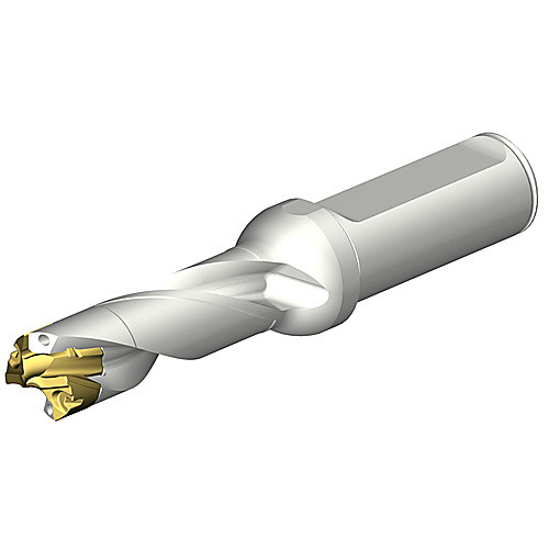 ‎DE10-D1700-170L20-3