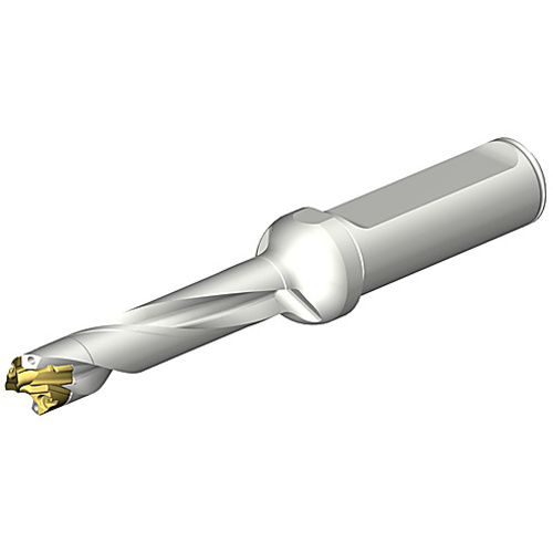 ‎DE10-D1100-110L16-5