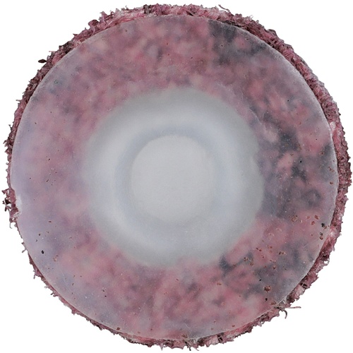 Scotch-Brite Roloc Surface Conditioning Disc TS 3/4″ x NH A MED Reverse Button