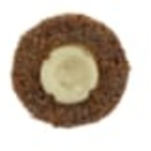 Scotch-Brite Roloc Surface Conditioning Disc TS 3/4″ x NH A CRS
