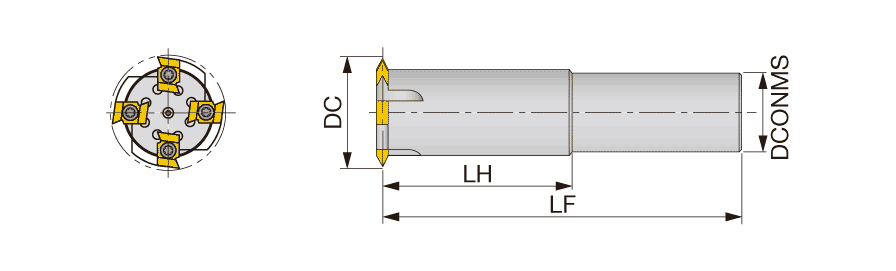 D50-D42-100R