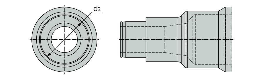 INDN AP AD 100