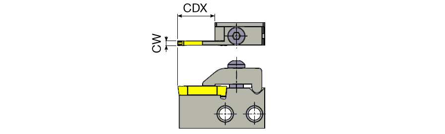 CGDR2