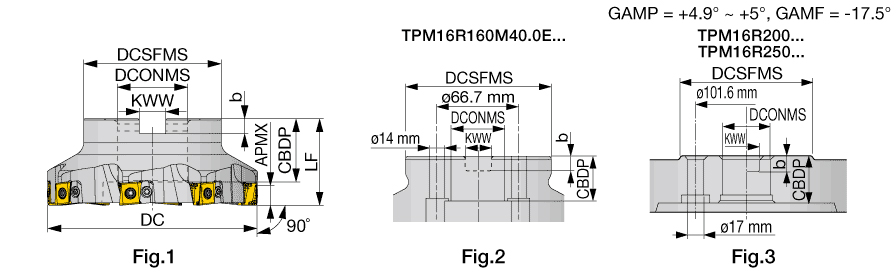 TPM16R200M60.0E10SA