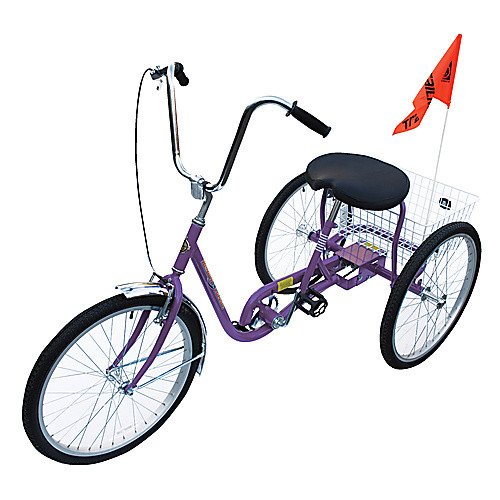 Standard Industrial Bicycle 250lb Purple
