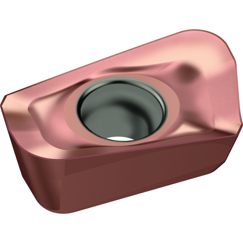 7539635 WALTER INDEXABLE