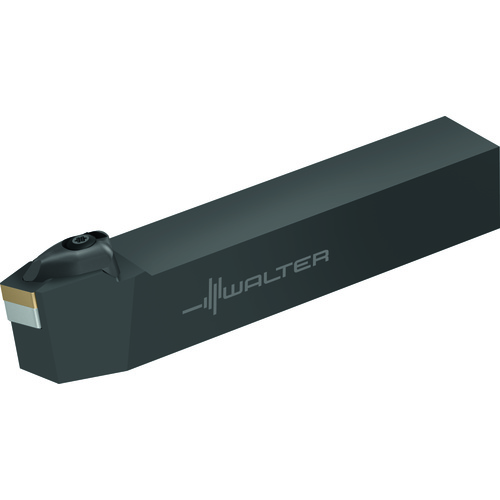 DSRNL164DM1