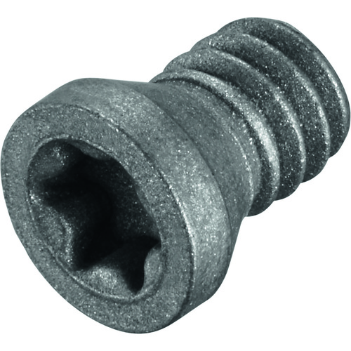 FS1003 Screw with Head