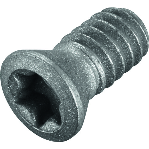 FS1004 Screw with Head