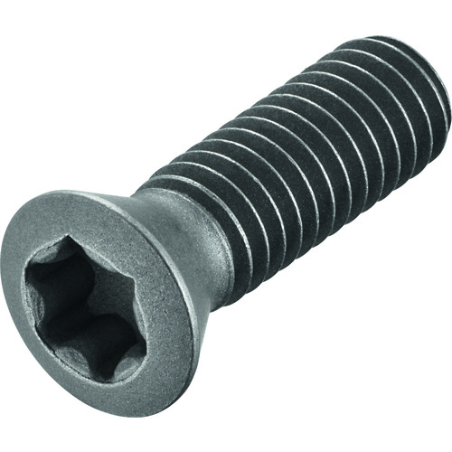 FS1006 Screw with Head