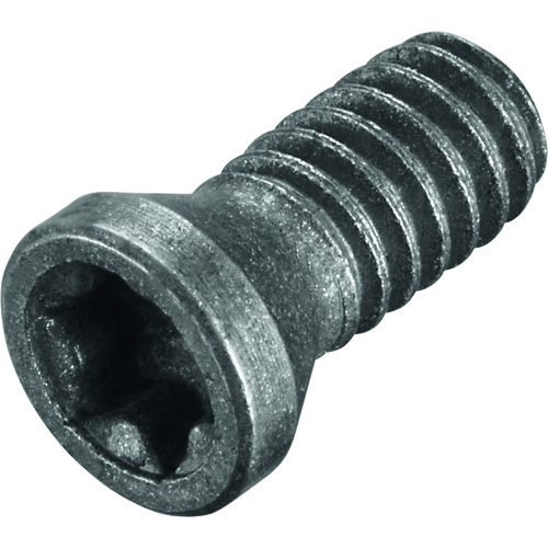 FS1012 Screw with Head