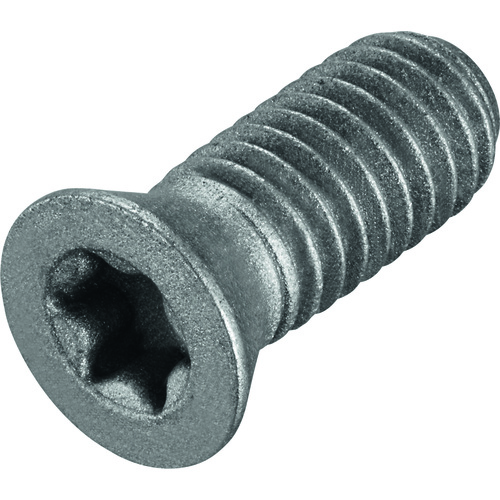 FS1013 Screw with Head