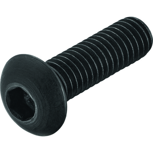 FS1024 Screw with Head