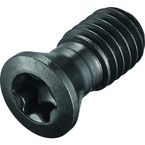 FS1030 Screw with Head