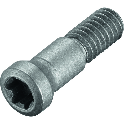 FS1051 Screw with Head