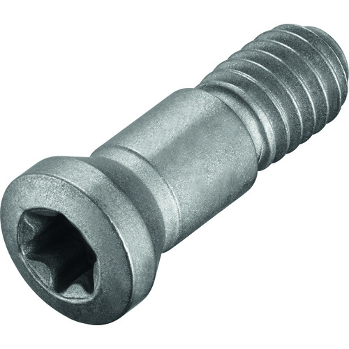 FS1053 Screw with Head