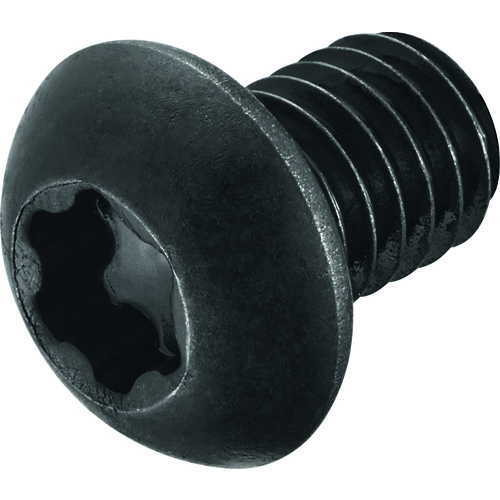 FS1156 Screw with Head