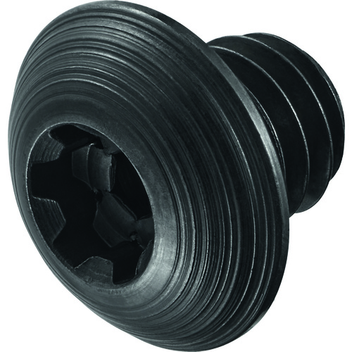 FS1158 Screw with Head
