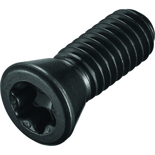 FS1163 Screw with Head