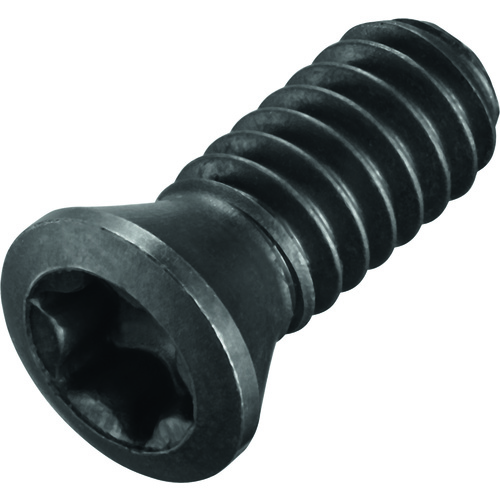 FS1358 Screw with Head