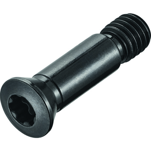 FS1401 SCREW W/HD