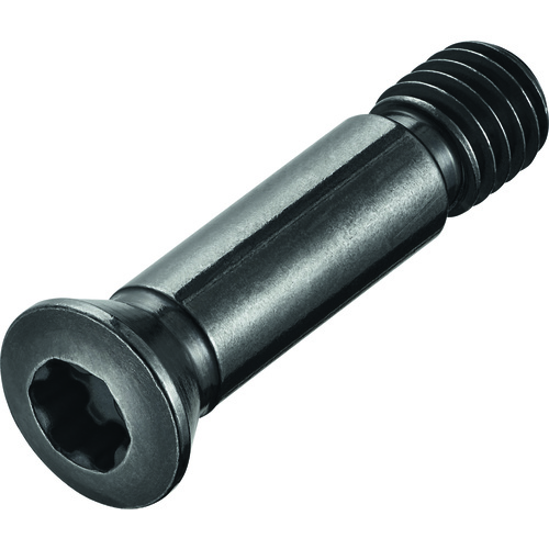 FS1402 Screw with Head