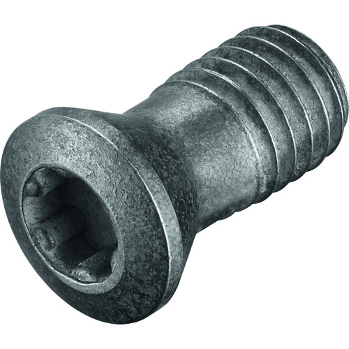 FS1463 Screw with Head
