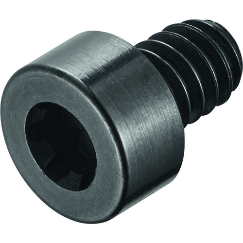 FS1492 Screw with Head