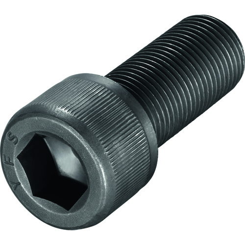 FS1520 Screw with Head
