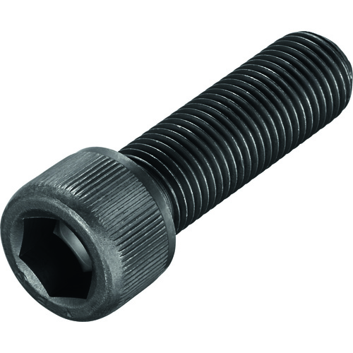 FS1523 Screw with Head