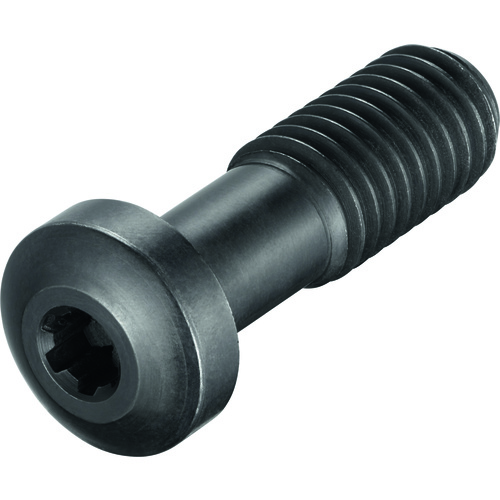 FS1591 Screw with Head