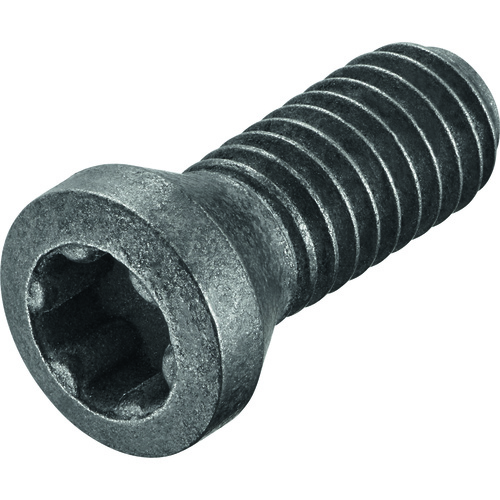 FS2063 Screw with Head