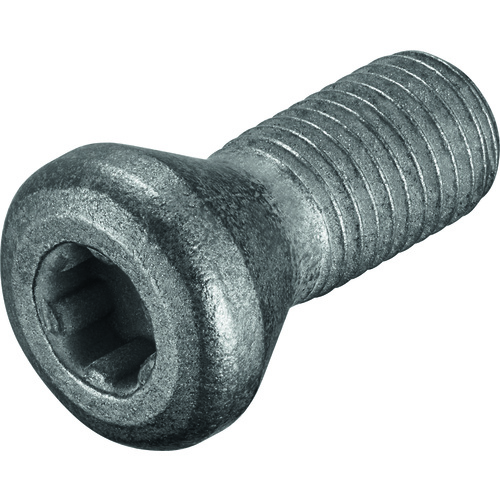 FS2064 Screw with Head