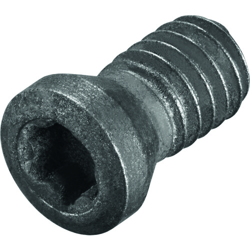 FS2066 Screw with Head